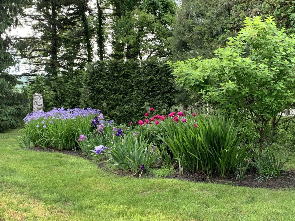 Garden bed with purple and pink flowers among greenery