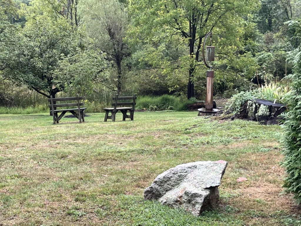 Garden with wooden benches surrounded by trees and greenery